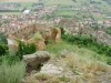 Kőhalom vára A vár és Kőhalom Kőhalom