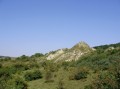 Szénafüvek 2 
