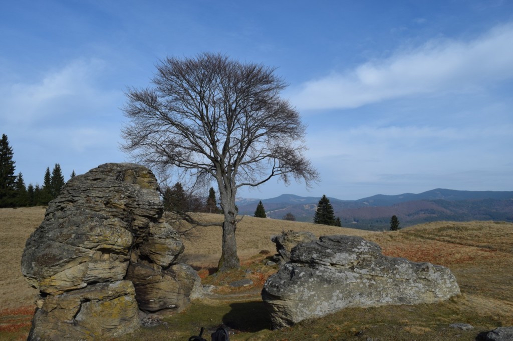 Asztag-kő - Esztelnek