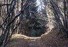 Őszi alagút