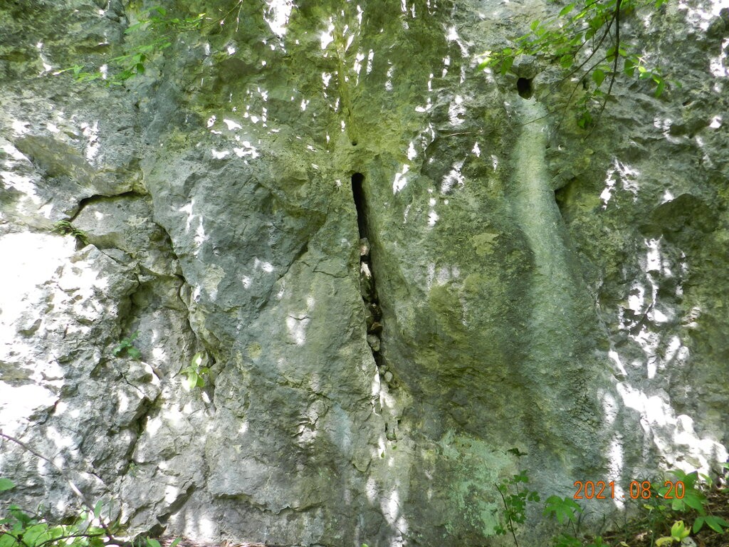 Vándorsólyom via ferrata - Beszállási pont - Vargyas-szoros