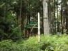 Vártető I kilátópont - Tusnádfürdő Etető
