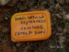 A doboz