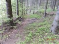 Szent Joákim-kápolna - Szent Anna-tó A kápolna romjai Szent Anna tó Joákim kápolna
