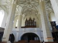 Templomerőd - Berethalom Orgona Berethalom
