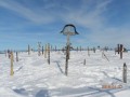 Tetőterasz - Madarasi Hargita Kopjafák Madarasi Hargita tetőterasz