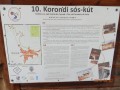 Korondi sóskút Leírás Korond sós-kút