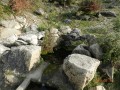 Kiépített forrás - Magyarpeterd Forrás Magarpeterd