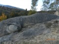 Homokkő képződmények - Homoródalmás Kőbe szorult dino Homoródalmás homokkő képződmények