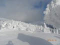 Tetőterasz - Madarasi Hargita Téli erdő Madarasi Hargita