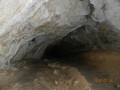 A barlang 