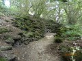 Régi sétány Piski arborétum