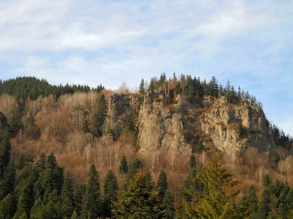 Tusnádfürdő tiszafája