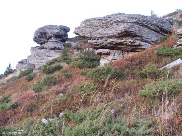 Kőgombák - Csicsói-Hargita