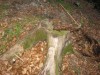 Tartod2 20090507