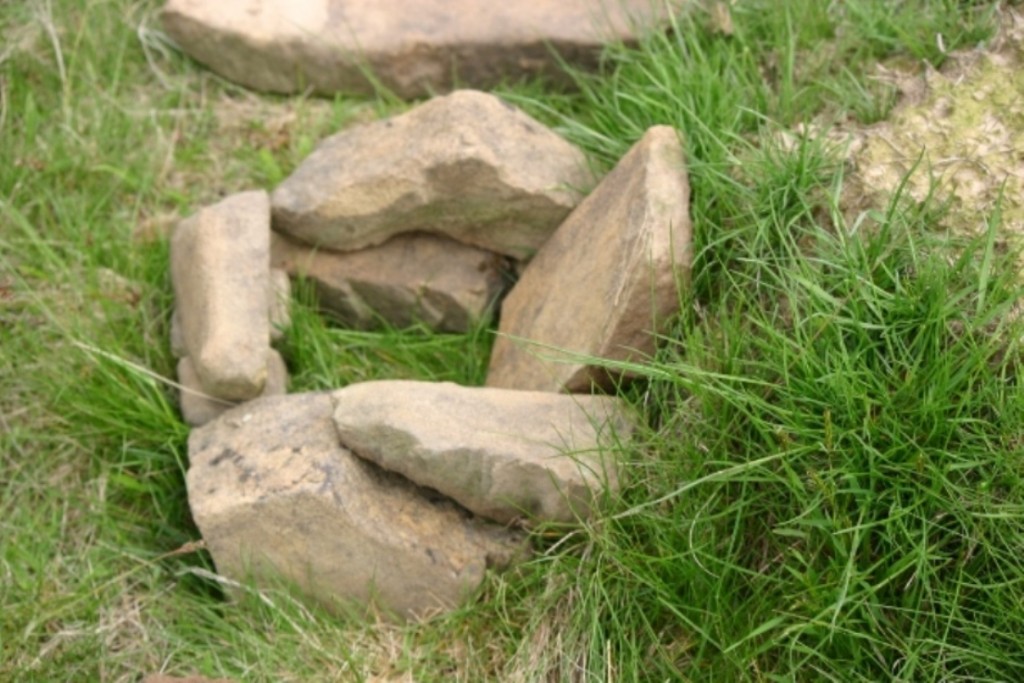 Mező-tető - Sepsimagyarós