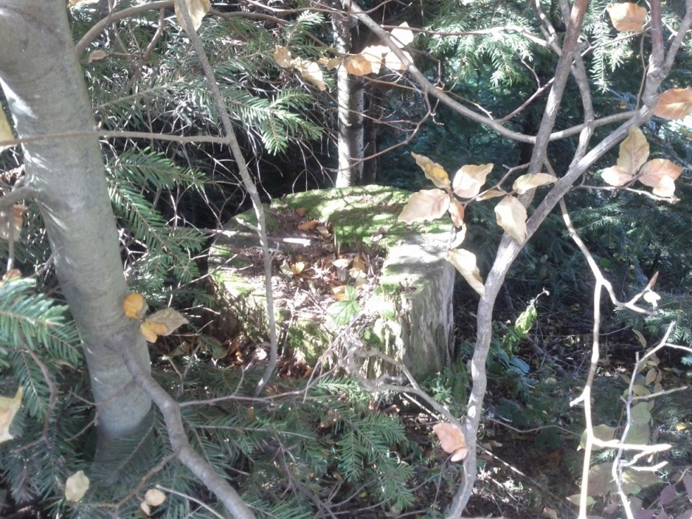 Papolci panoráma