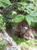 Büdös-barlang - Bálványosfürdő De szép a hangod ....és milyen hosszú a karod!