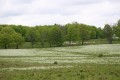 Szencsedi-tó vagy Fenyőkúti-tó Szerencséd.....