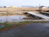 Szamosfalvi fürdő Szamosfalvi fürdő Szamosfalvi fürdő