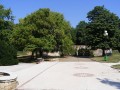 Római katolikus bazilika - Nagyvárad Fuszulyka fa Nagyvárad püspöki palota park