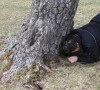 Kerestük, de nem találtuk Kerestük, de nem találtuk