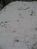 Bodvaji temető Extrém Geocacher extreme GC