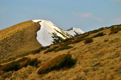Carja-csúcs