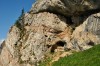Medvebarlang a sziklarengeteg mélyén