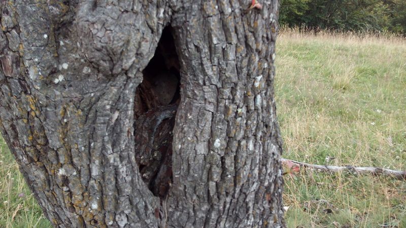 A rejtek Ördögárok