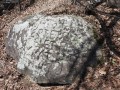 Kékvize forrása - Szentegyházasfalu Kőbe vésett gondolat Kékvize forrása