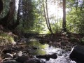 Kuvaszó-patak vízesése Kora reggel Ilosza patak
