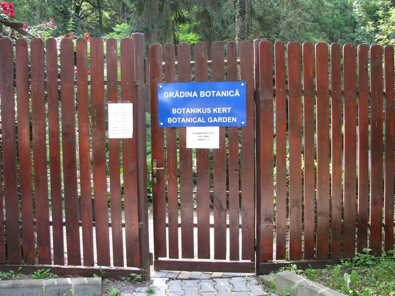 Botanikus kert - Marosvásárhely