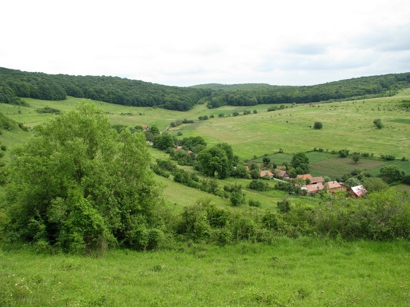 Székelybósi panoráma