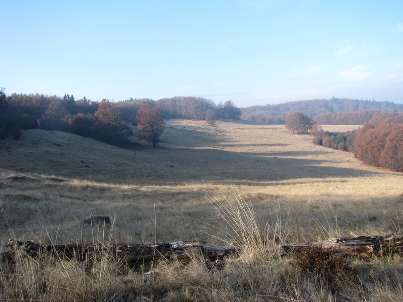 Ruszu-mező a Nagy-Égett-kő mellett