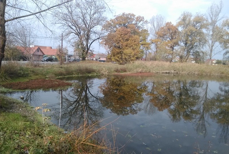 Víztükör Báró kertje - Nagyernye