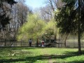 Görgény vára - Görgényszentimre Bekerített tó Görgényszentimre Görgény vára