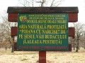 Budak-völgyi tölgyerdő - Óvárhely Védett terület Óvárhely Budak-völgy tölgyerdő