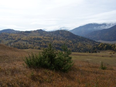 Fekete Bitka