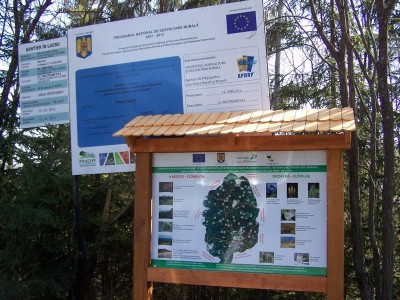 Borvíz-forrás