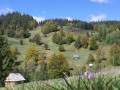 Alsó-szoros - Kis-Békás Őszi színek Alsó szoros Kis Békás