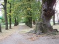 Szeptember végén - Koltó A sétány Koltó Teleki kastély Petőfi