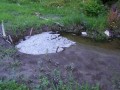 Isten tenyere - Fundatura Ponorului Habos víz Ponor-patak Fundatura Ponorului