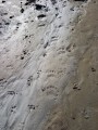 Sóhát és Sószoros - Parajd A látogatók nyomai Parajd Sóhát Sószoros
