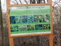 Katolikus templom - Nagykászon Tanösvény 4 Nagykászon katolikus templom