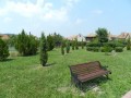 Petőfi körtefája - Székelykeresztúr Kert 2 Székelykeresztúr Petőfi körtefája