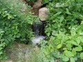 Bányászpataktövi borvíz - Tusnádfürdő Bányász-patak Tusnádfürdő