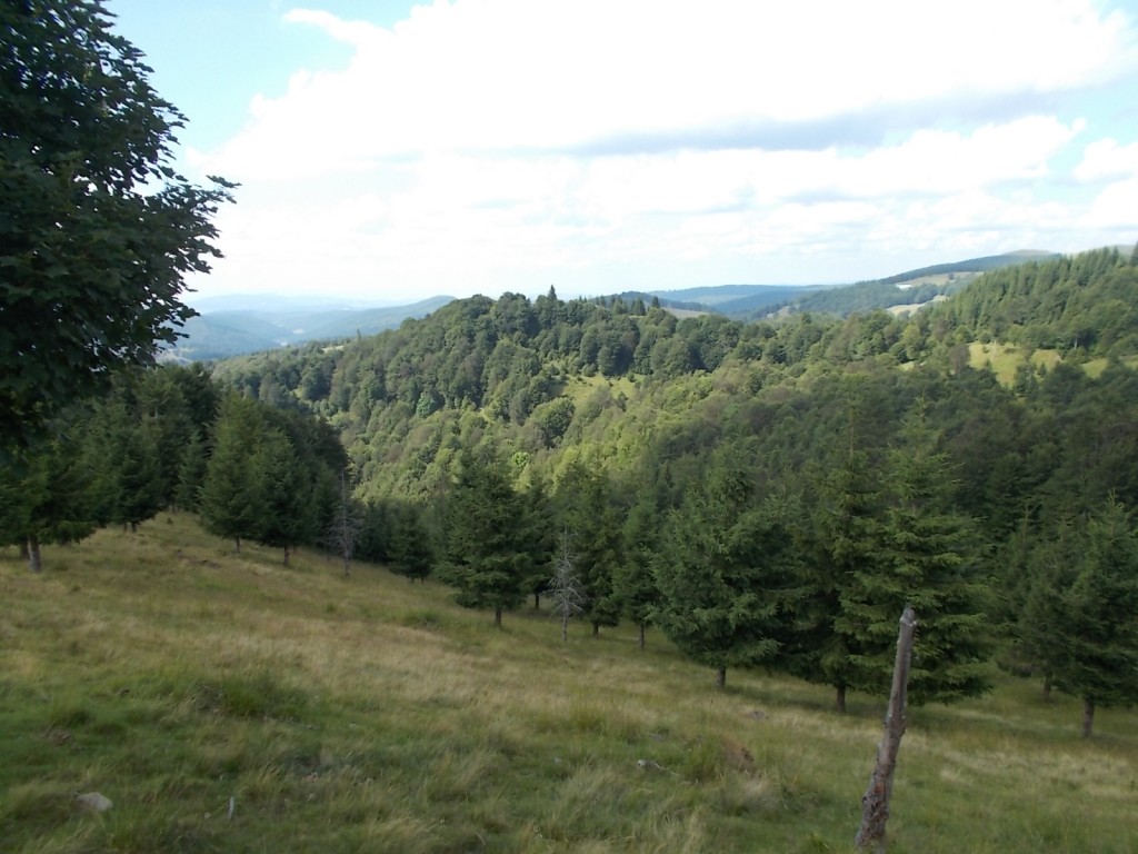 Királyhegy az útról Királyhegy - Bodzavám