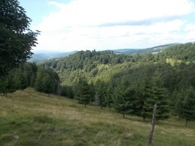 Királyhegy