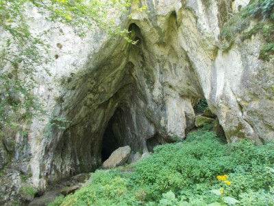 Pestere védbarlang